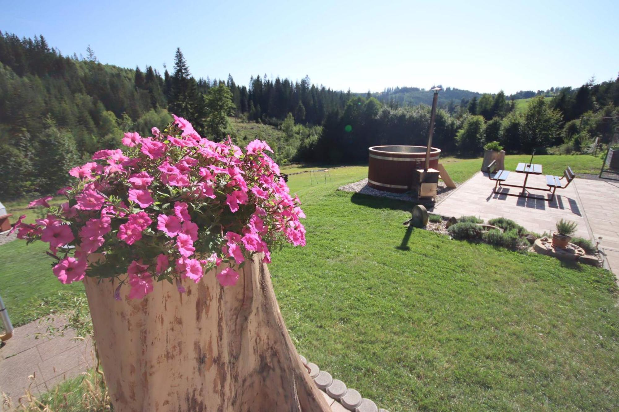 Apartmán u Trojmezí Mosty u Jablunkova Esterno foto